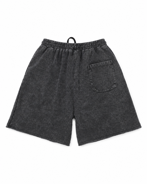 DSCPLND Distressed Washed Shorts (Above Knee)